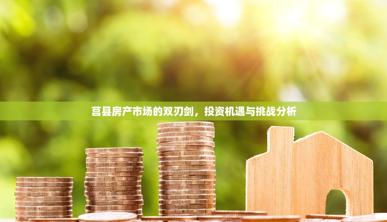 莒县房产市场的双刃剑，投资机遇与挑战分析