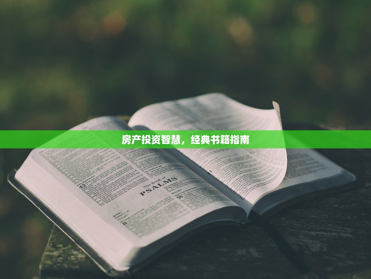 房产投资智慧，经典书籍指南