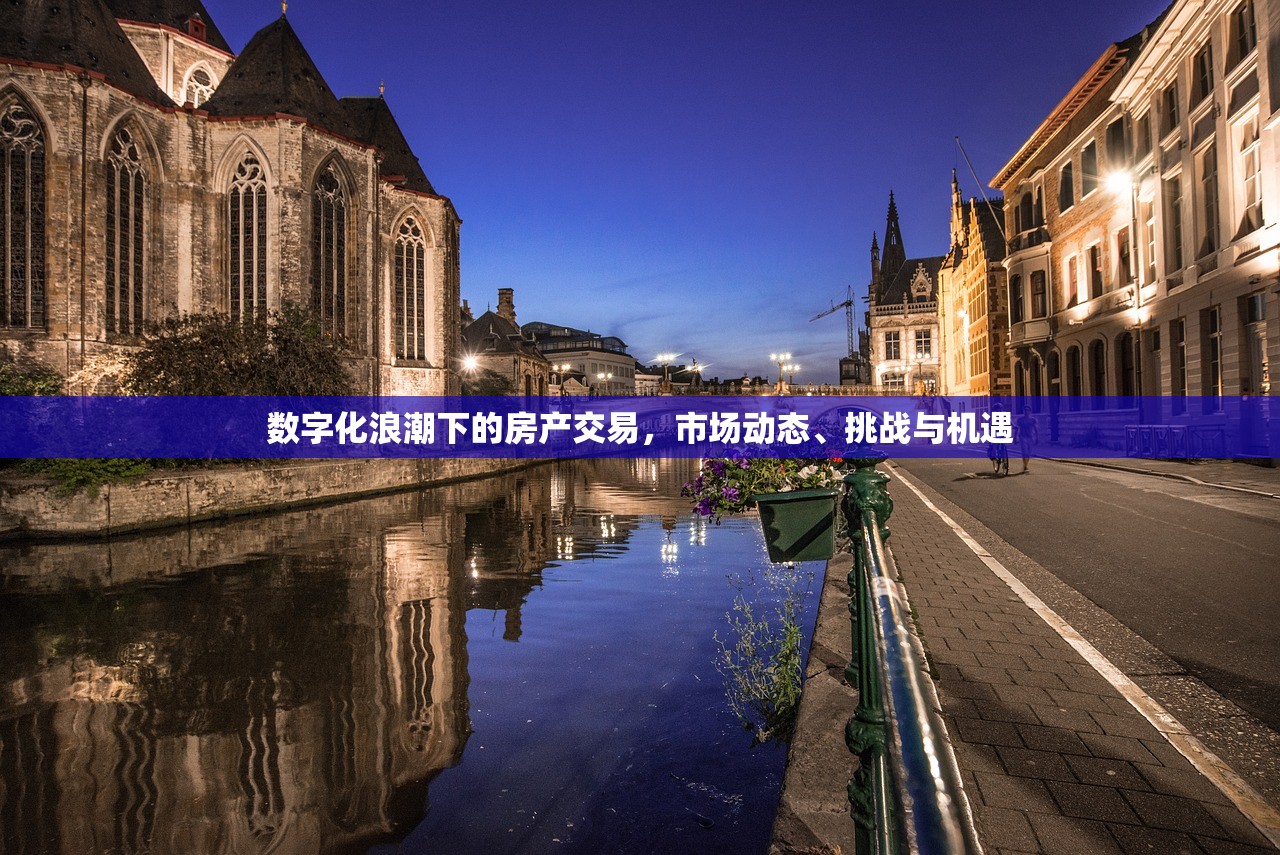 数字化浪潮下的房产交易，市场动态、挑战与机遇