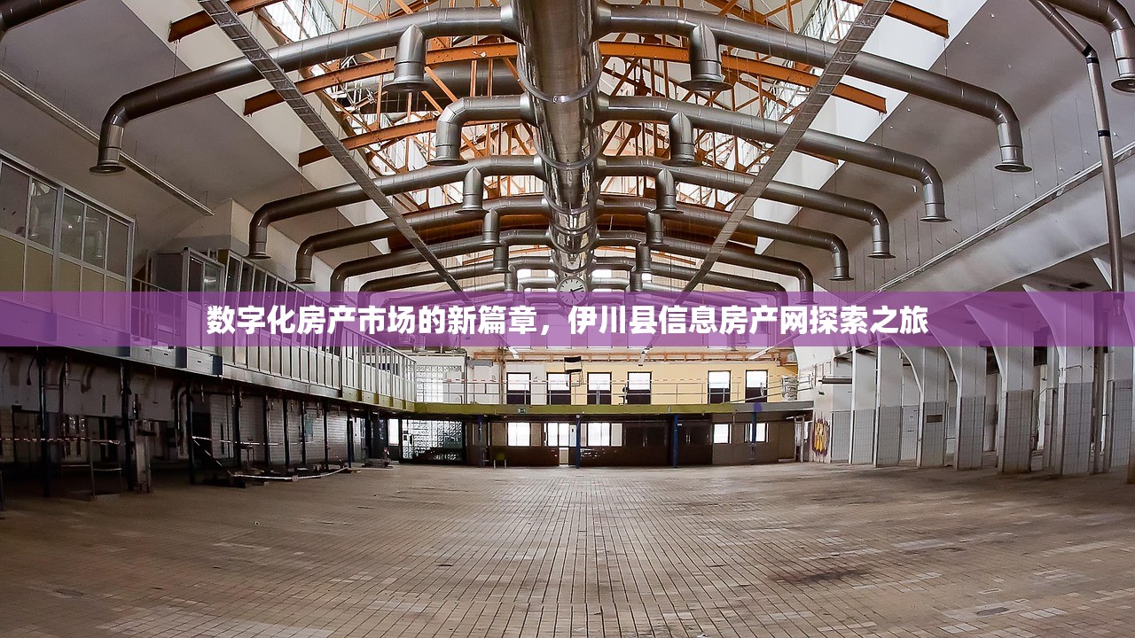 数字化房产市场的新篇章，伊川县信息房产网探索之旅