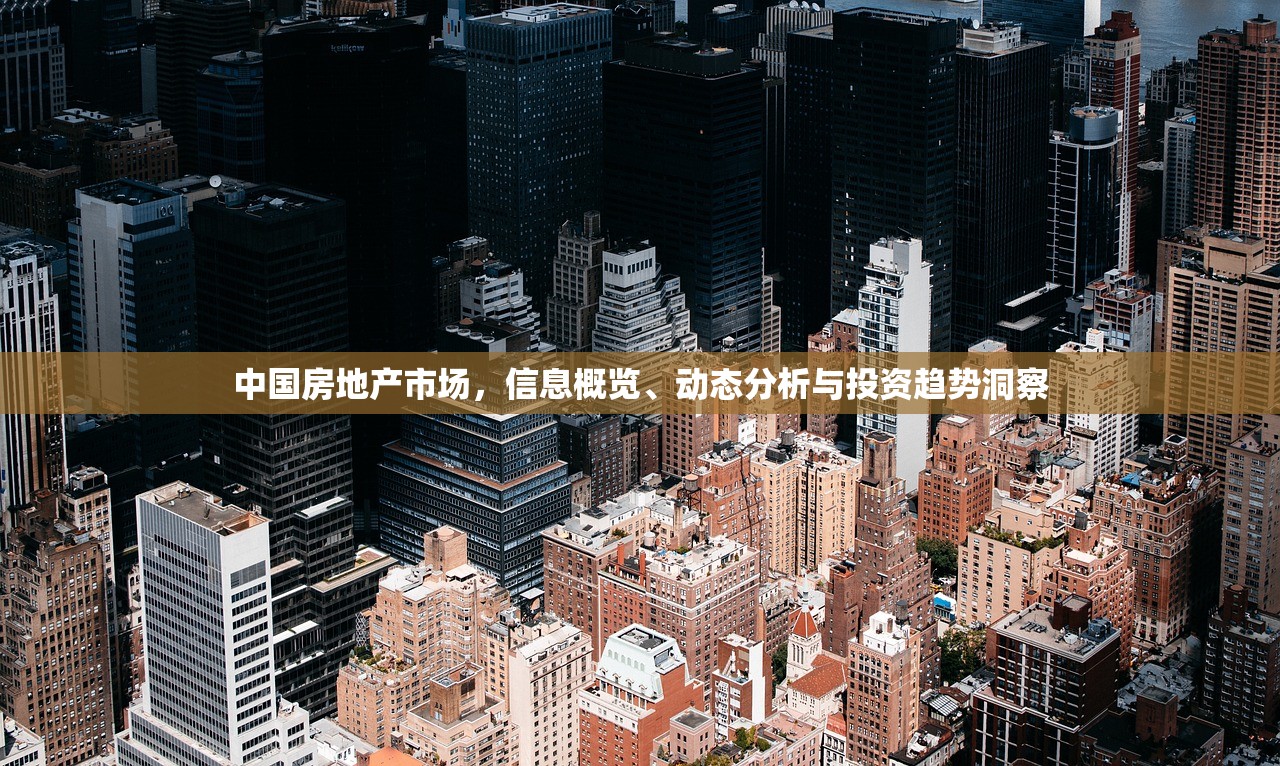 中国房地产市场，信息概览、动态分析与投资趋势洞察