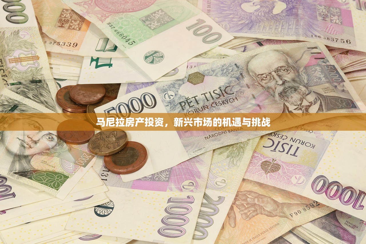 马尼拉房产投资，新兴市场的机遇与挑战