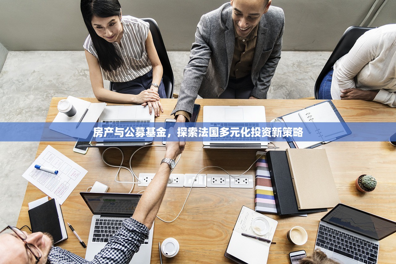 房产与公募基金，探索法国多元化投资新策略