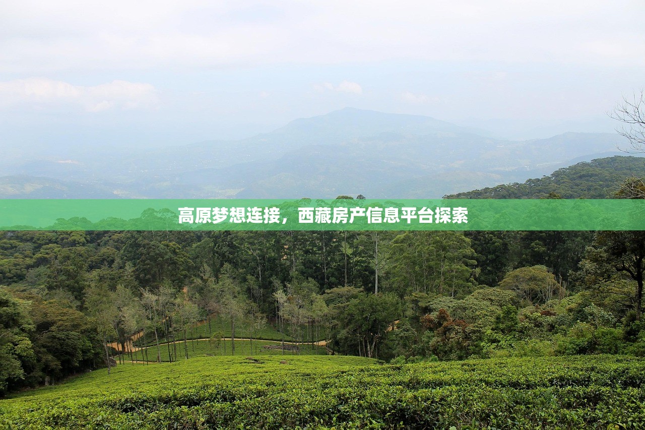 房产税新政解读，商铺征税范围探究