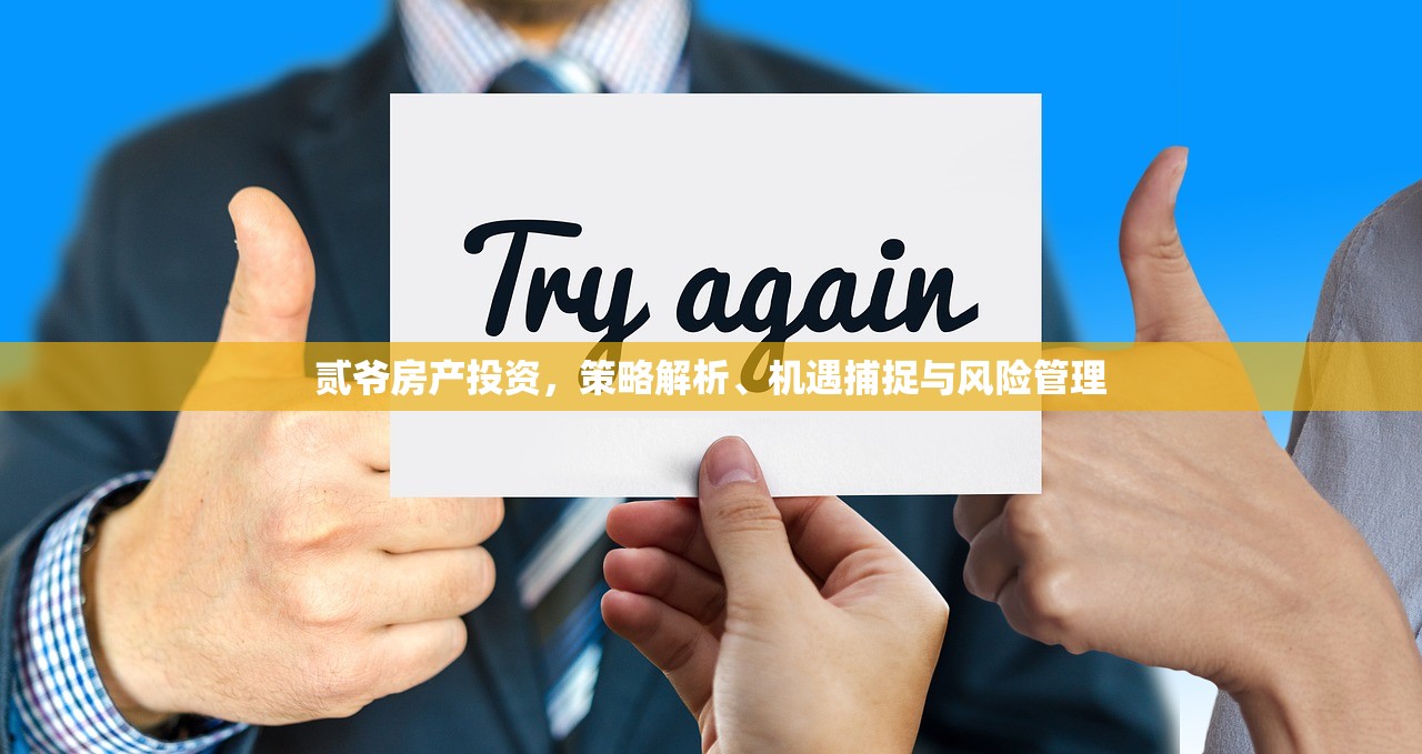 贰爷房产投资，策略解析、机遇捕捉与风险管理
