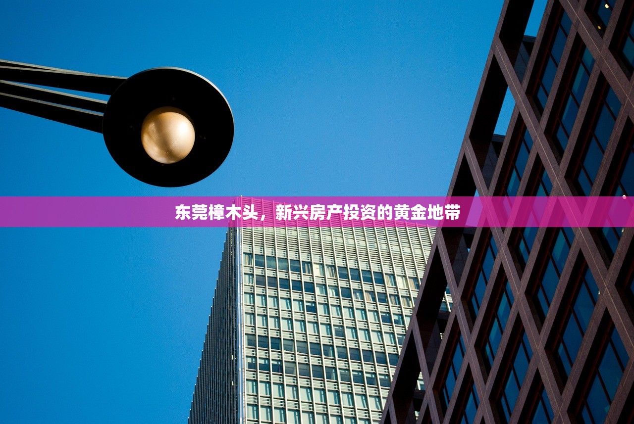 东莞樟木头，新兴房产投资的黄金地带