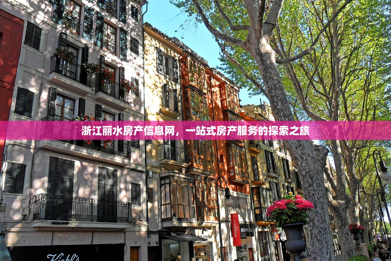 浙江丽水房产信息网，一站式房产服务的探索之旅