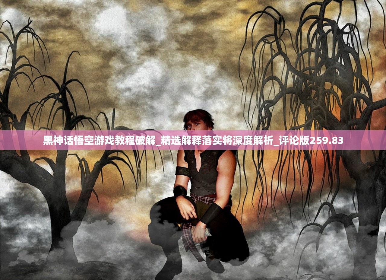 黑神话悟空游戏教程破解_精选解释落实将深度解析_评论版259.83