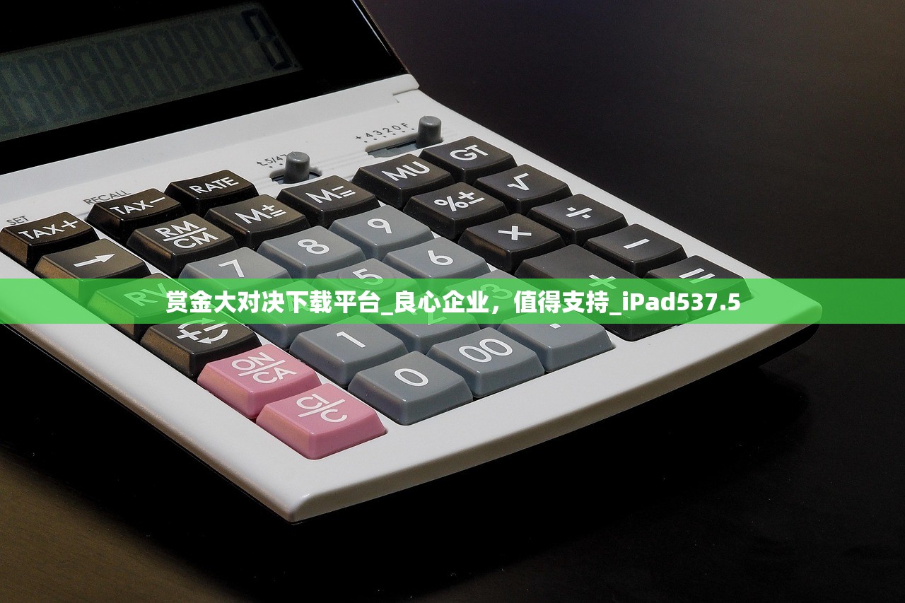 赏金大对决下载平台_良心企业，值得支持_iPad537.5