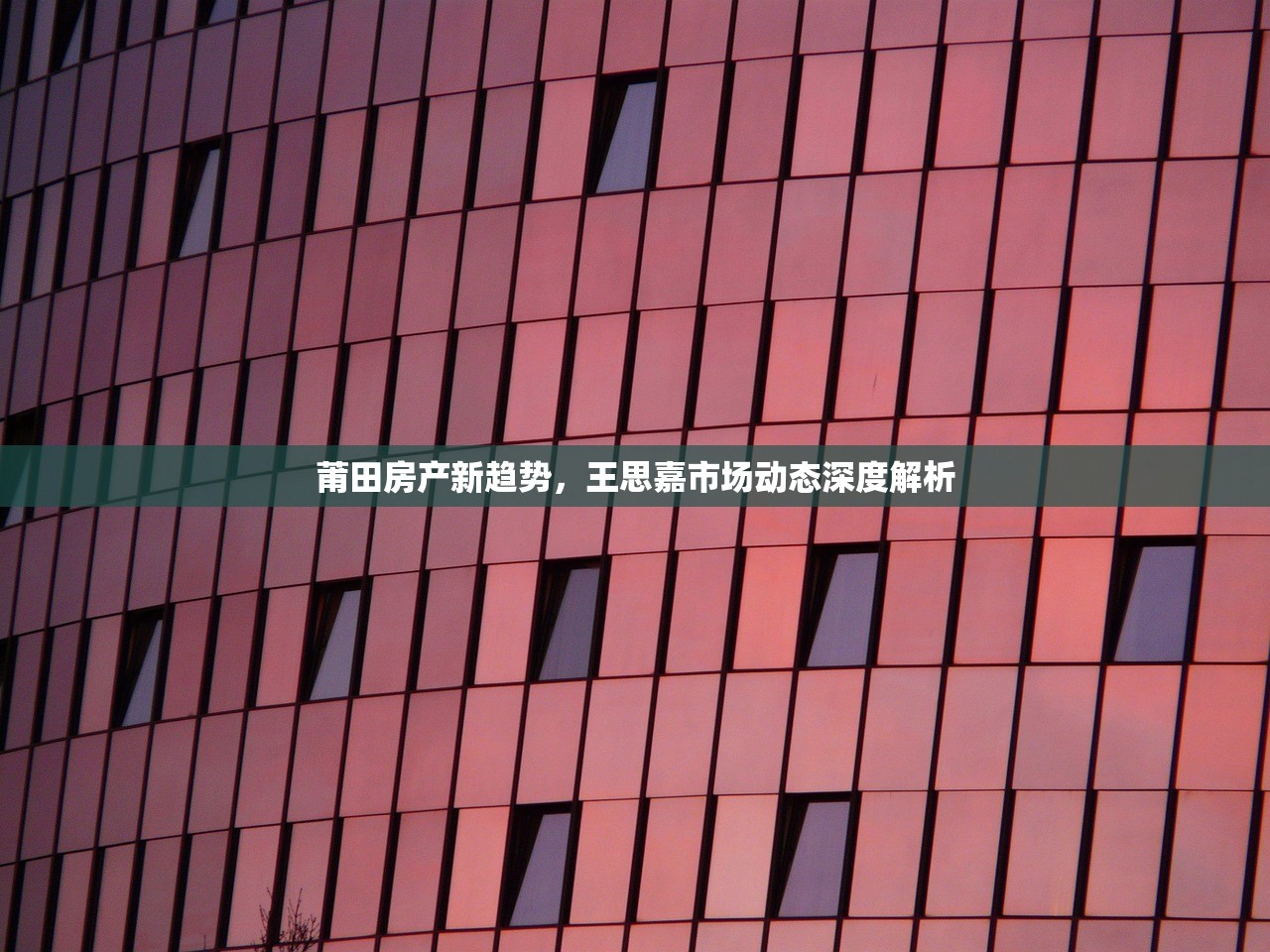 莆田房产新趋势，王思嘉市场动态深度解析