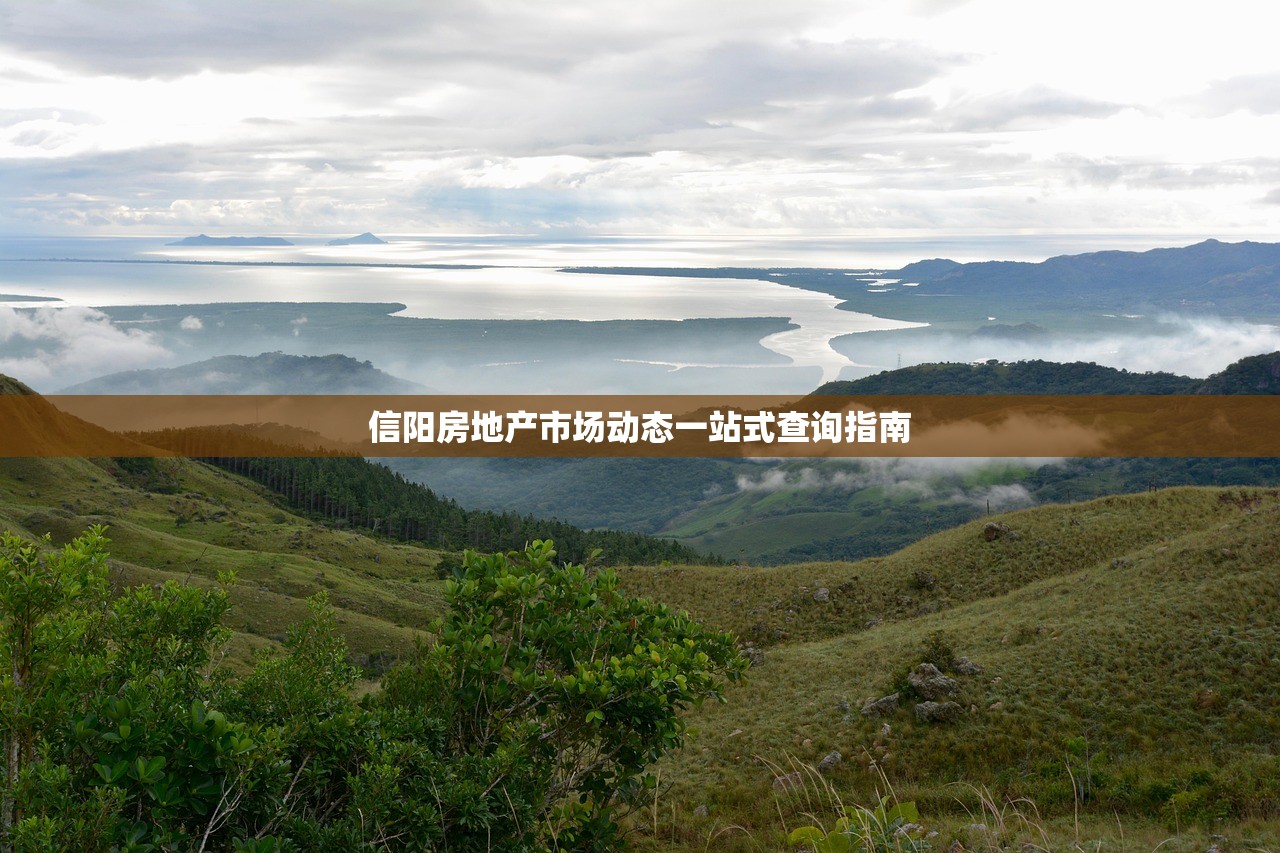 商铺购买后房产证办理流程与手续详解