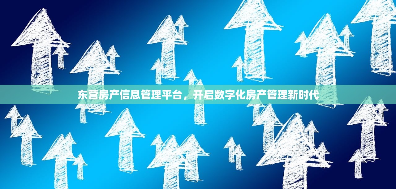 东营房产信息管理平台，开启数字化房产管理新时代