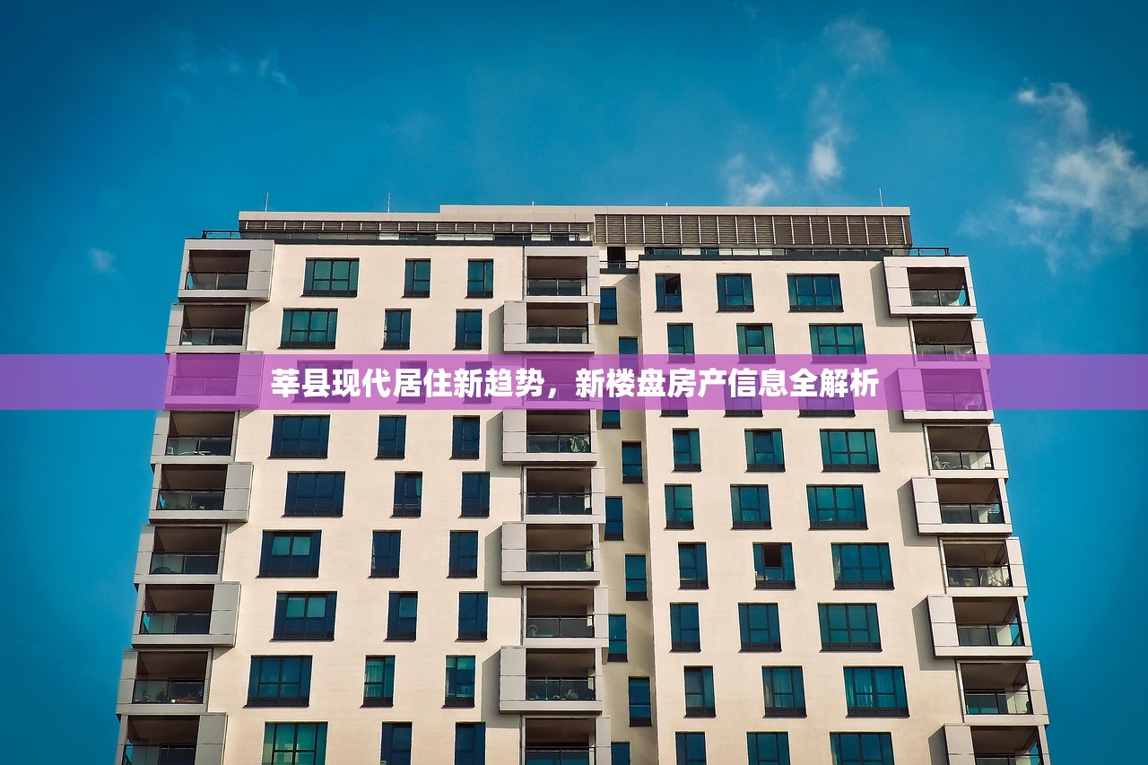 商铺无房产证营业执照办理，法律与实践指导