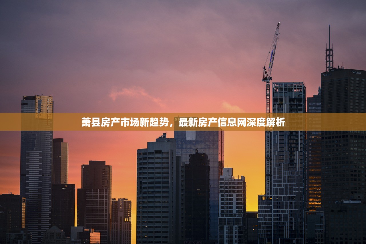 贺飞白 第4页