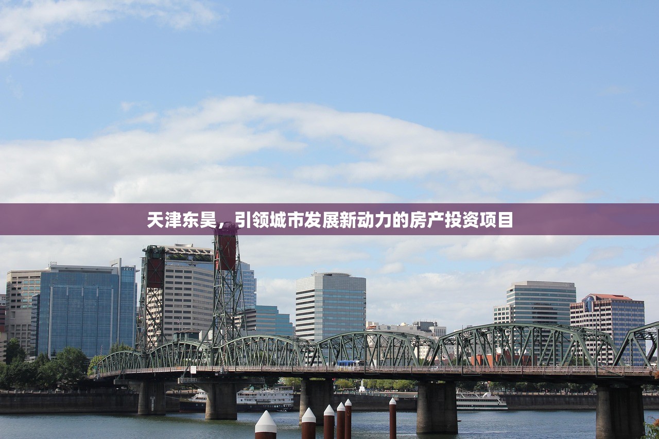 天津东昊，引领城市发展新动力的房产投资项目