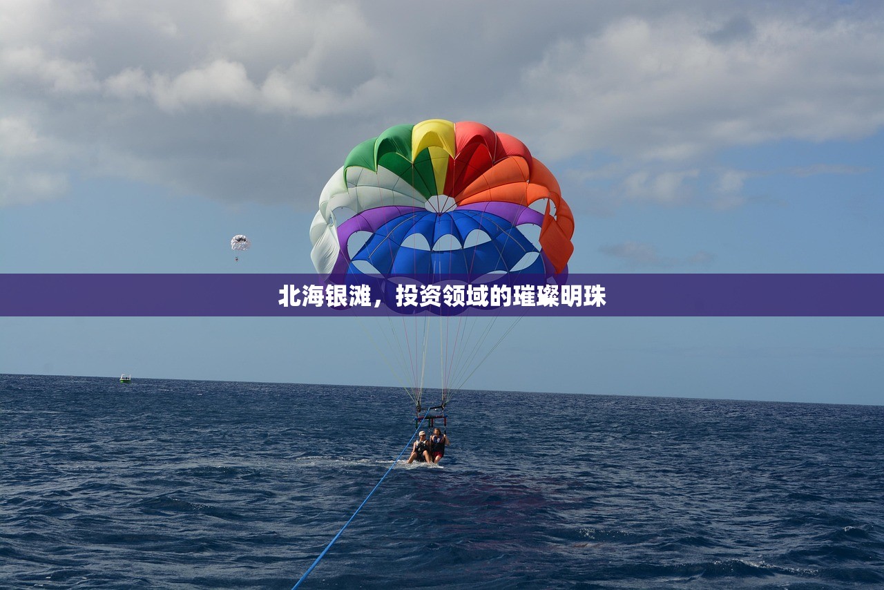 房产信息数字化，透明度与便捷性的新纪元