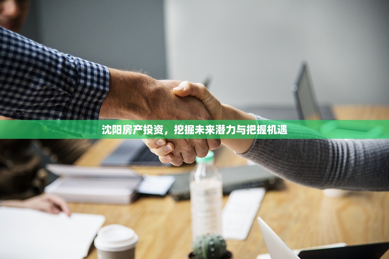 沈阳房产投资，挖掘未来潜力与把握机遇