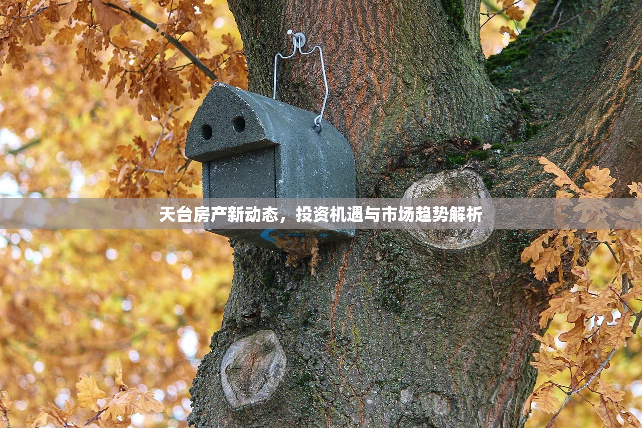 天台房产新动态，投资机遇与市场趋势解析