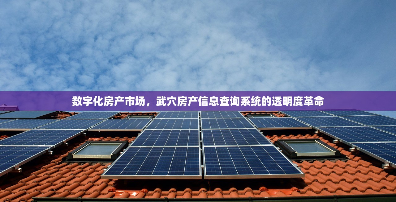 数字化房产市场，武穴房产信息查询系统的透明度革命