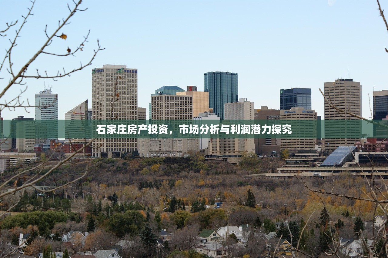 石家庄房产投资，市场分析与利润潜力探究