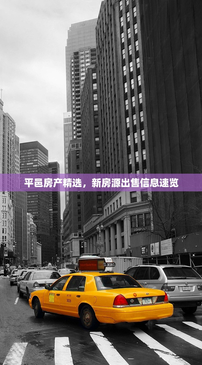 惠明亮 第3页