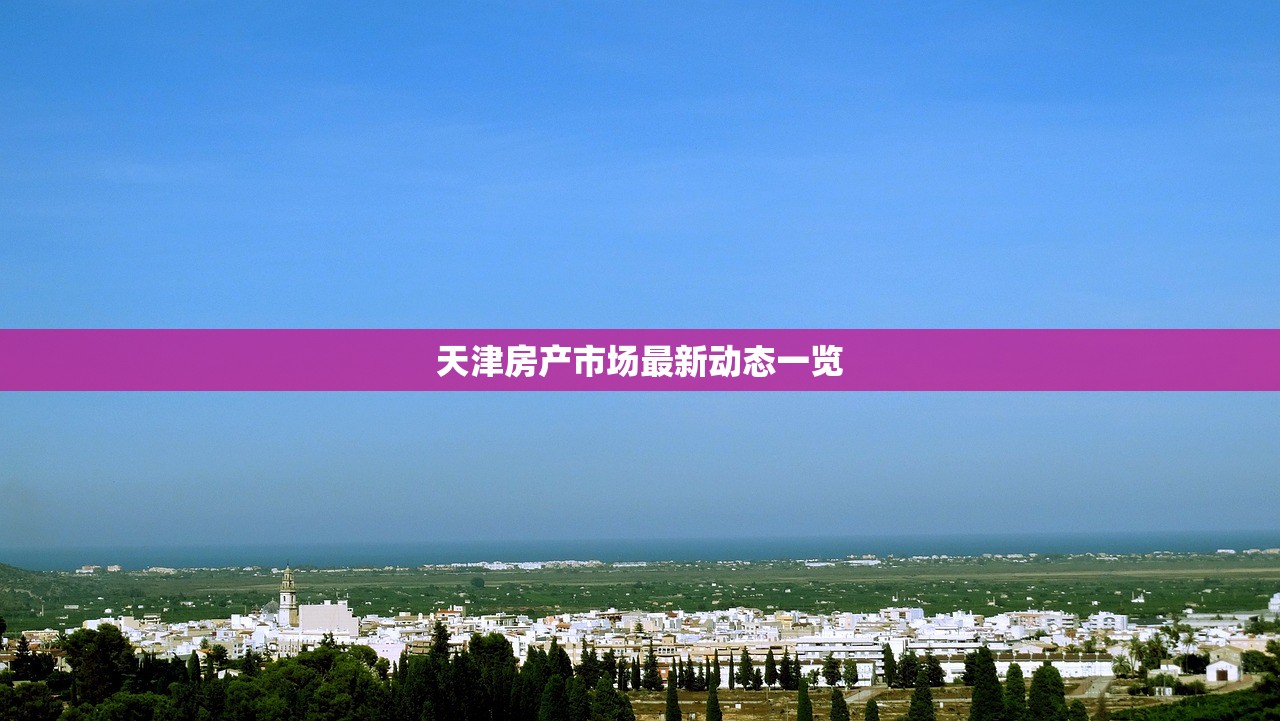 天津房产市场最新动态一览