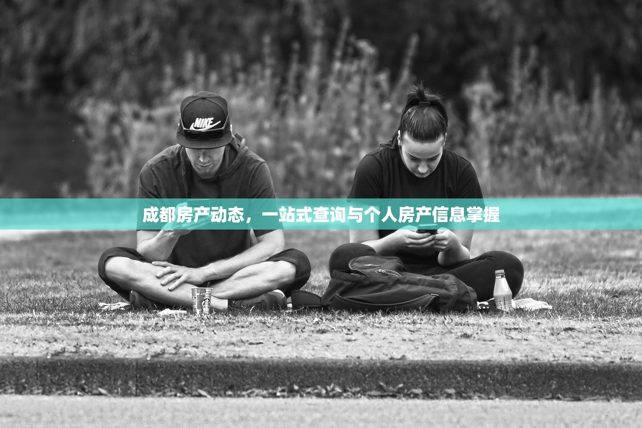 成都房产动态，一站式查询与个人房产信息掌握