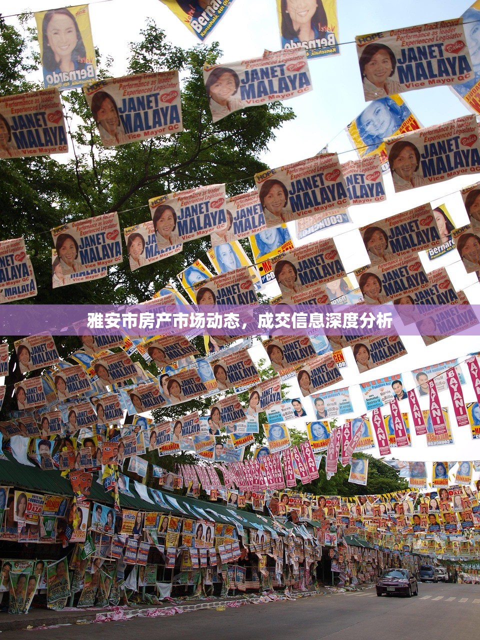 雅安市房产市场动态，成交信息深度分析