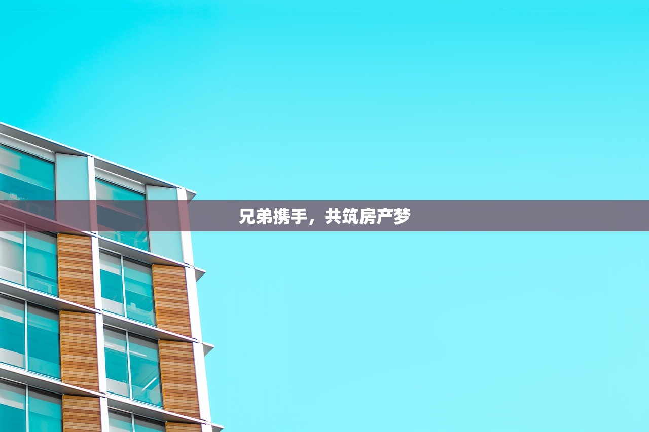 兄弟携手，共筑房产梦