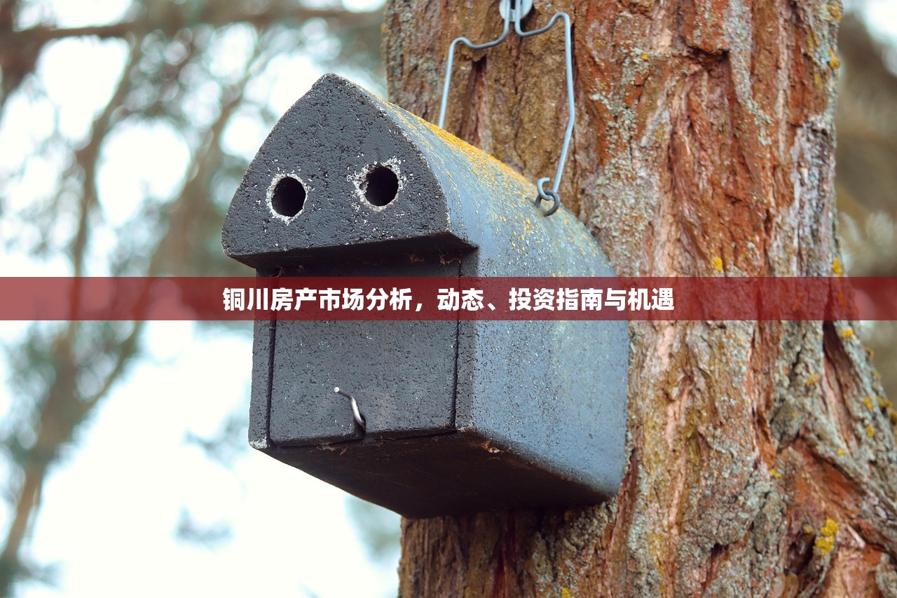 铜川房产市场分析，动态、投资指南与机遇