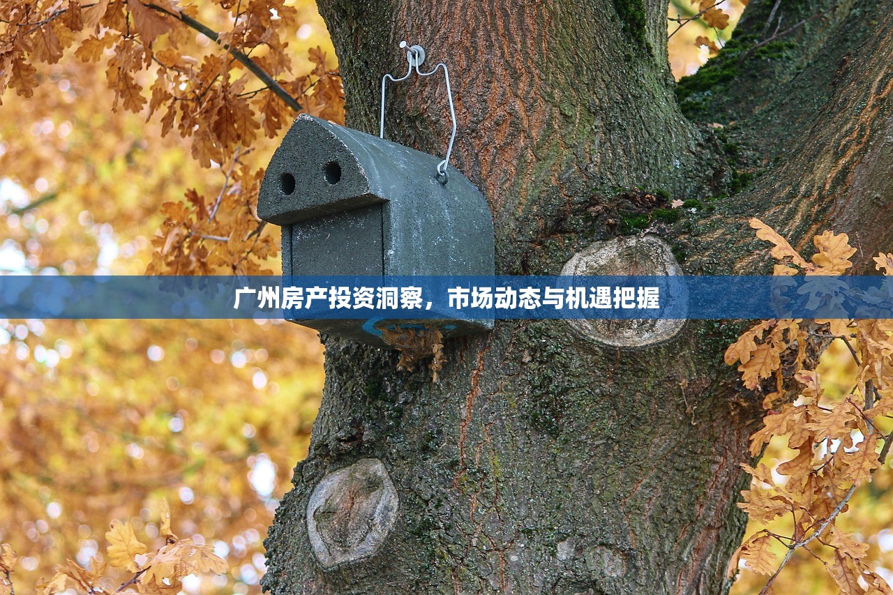 广州房产投资洞察，市场动态与机遇把握