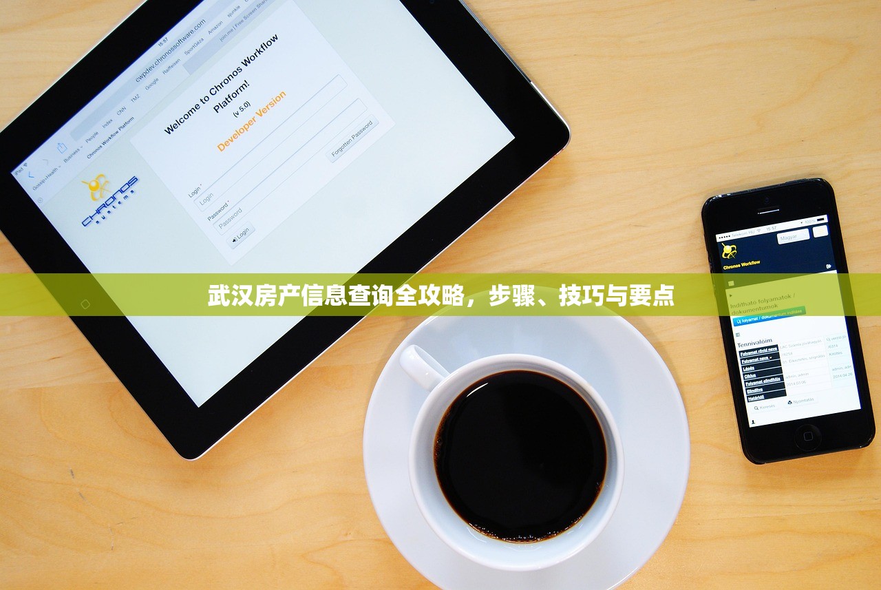 武汉房产信息查询全攻略，步骤、技巧与要点