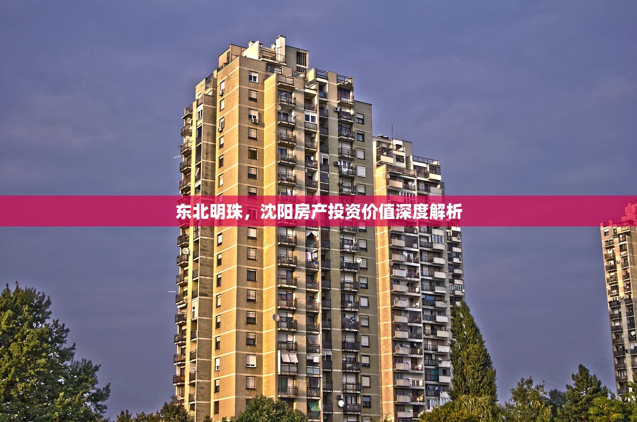 东北明珠，沈阳房产投资价值深度解析