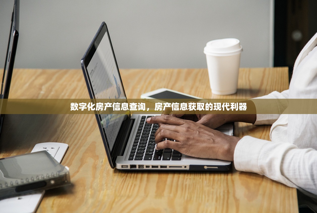 数字化房产信息查询，房产信息获取的现代利器