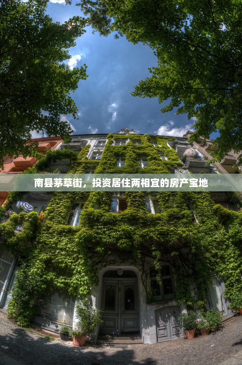 南县茅草街，投资居住两相宜的房产宝地