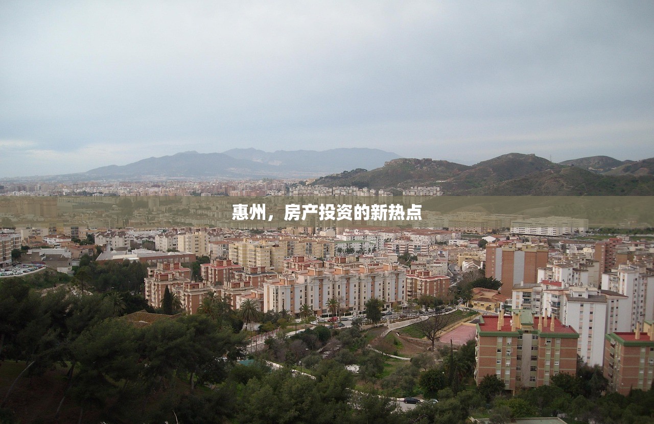 晃宏放 第3页