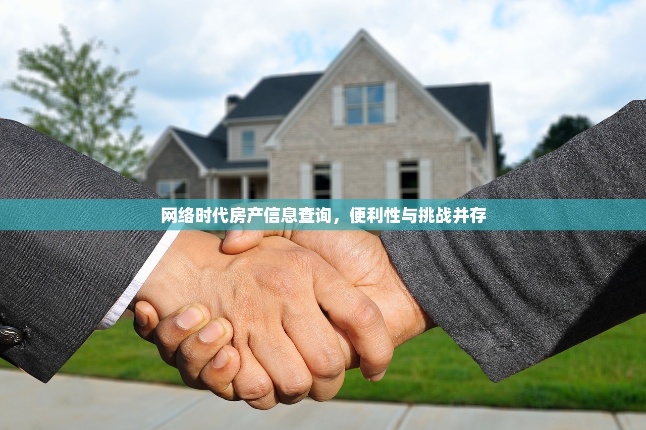 网络时代房产信息查询，便利性与挑战并存