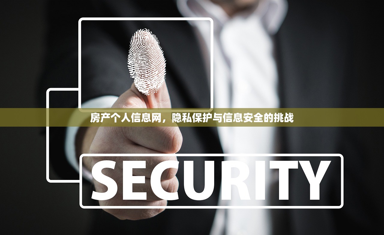 房产个人信息网，隐私保护与信息安全的挑战