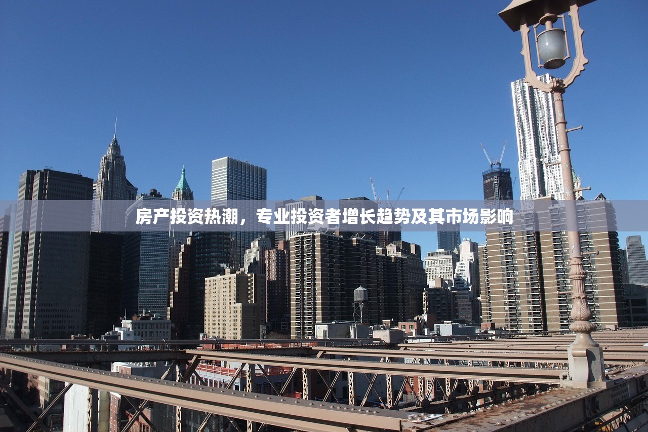 房产投资热潮，专业投资者增长趋势及其市场影响