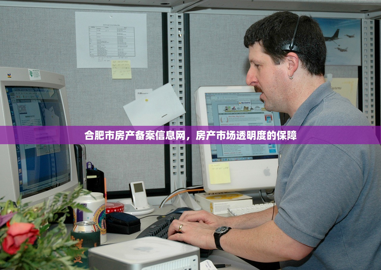 合肥市房产备案信息网，房产市场透明度的保障