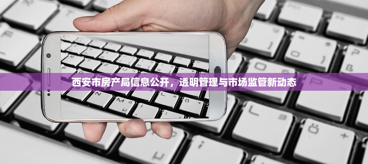 西安市房产局信息公开，透明管理与市场监管新动态