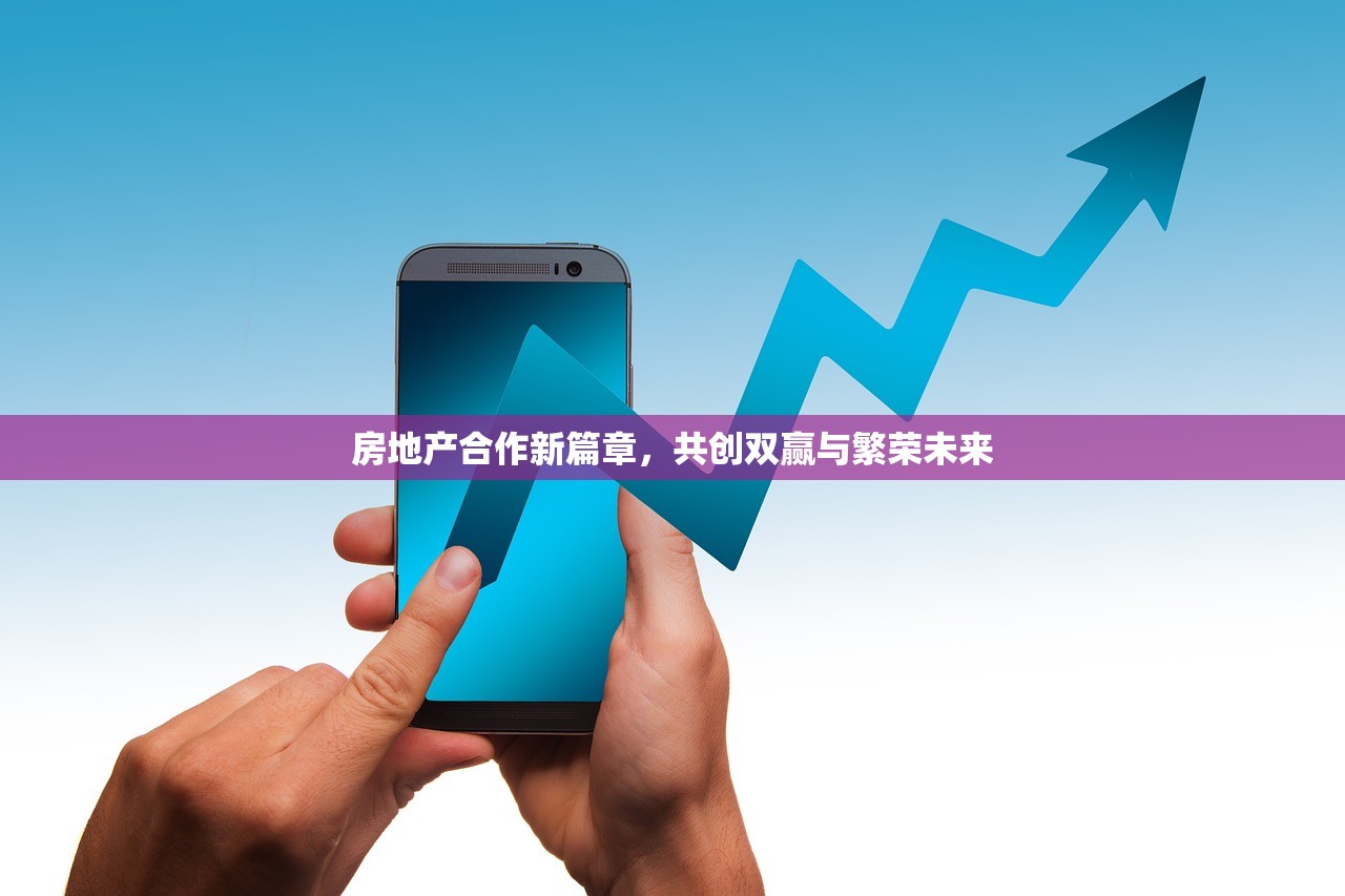 房地产合作新篇章，共创双赢与繁荣未来