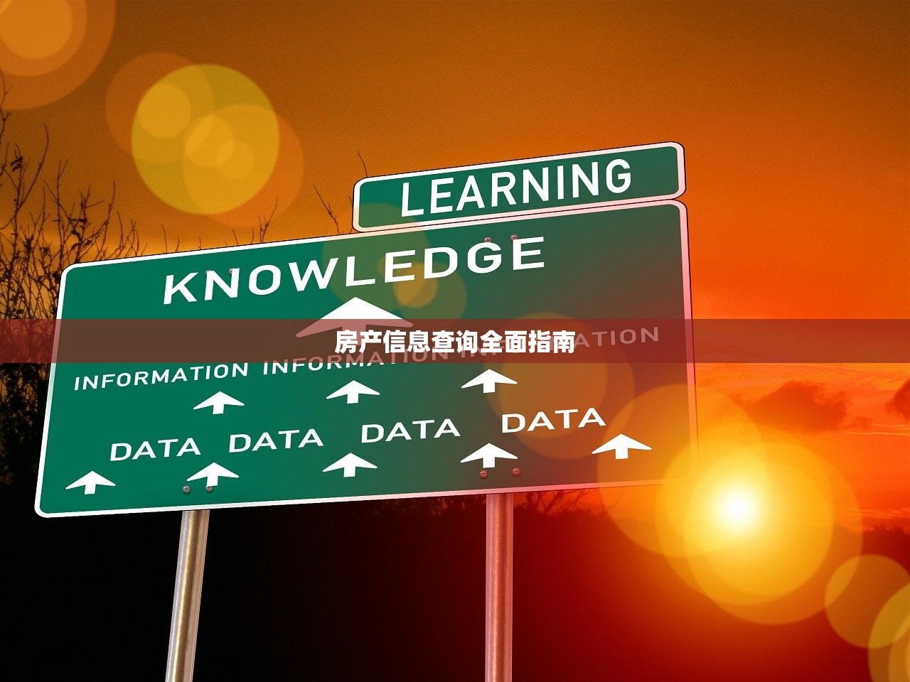 房产信息查询全面指南