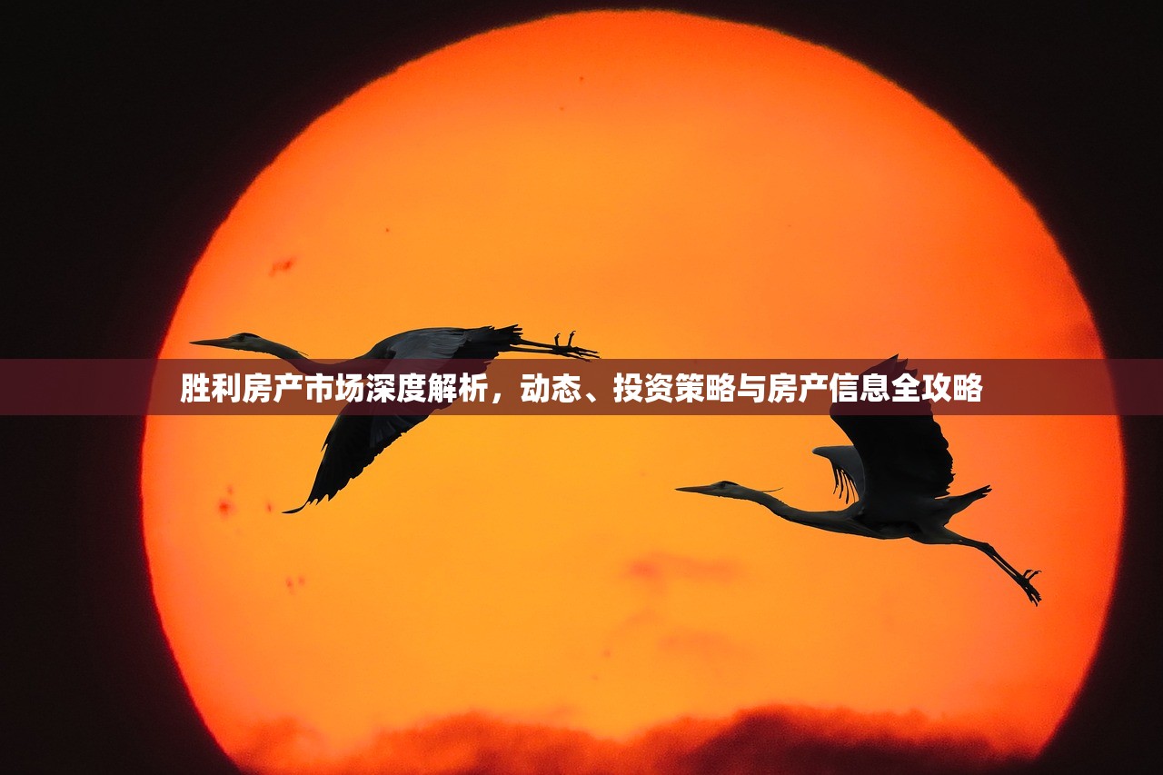 胜利房产市场深度解析，动态、投资策略与房产信息全攻略