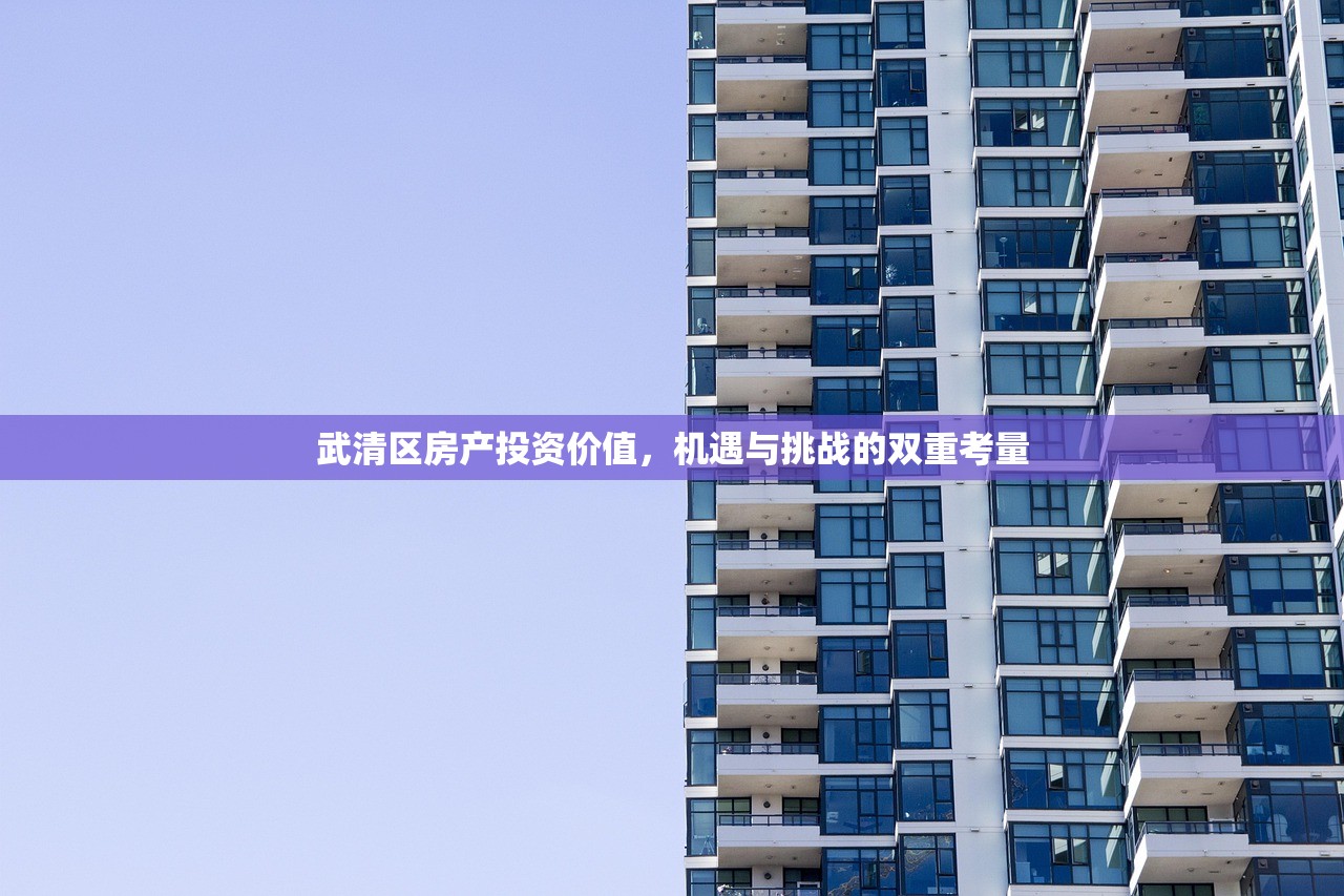 武清区房产投资价值，机遇与挑战的双重考量
