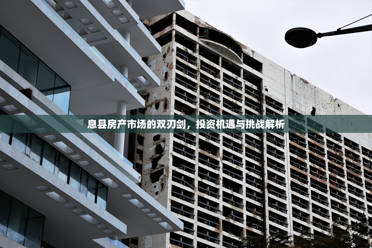 辛同和 第2页