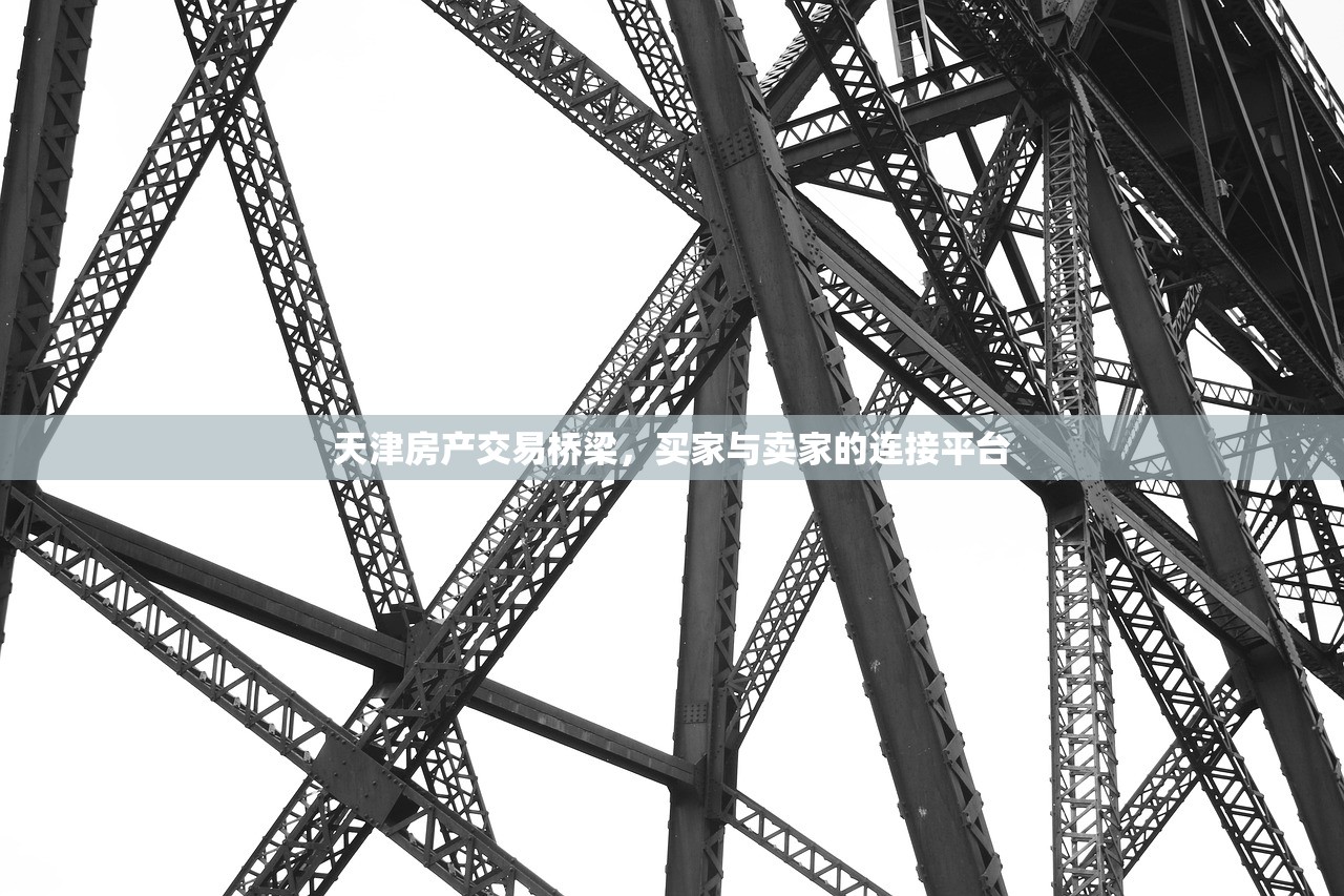 天津房产交易桥梁，买家与卖家的连接平台