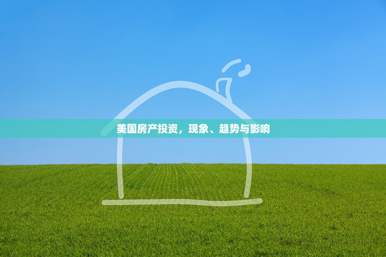 美国房产投资，现象、趋势与影响