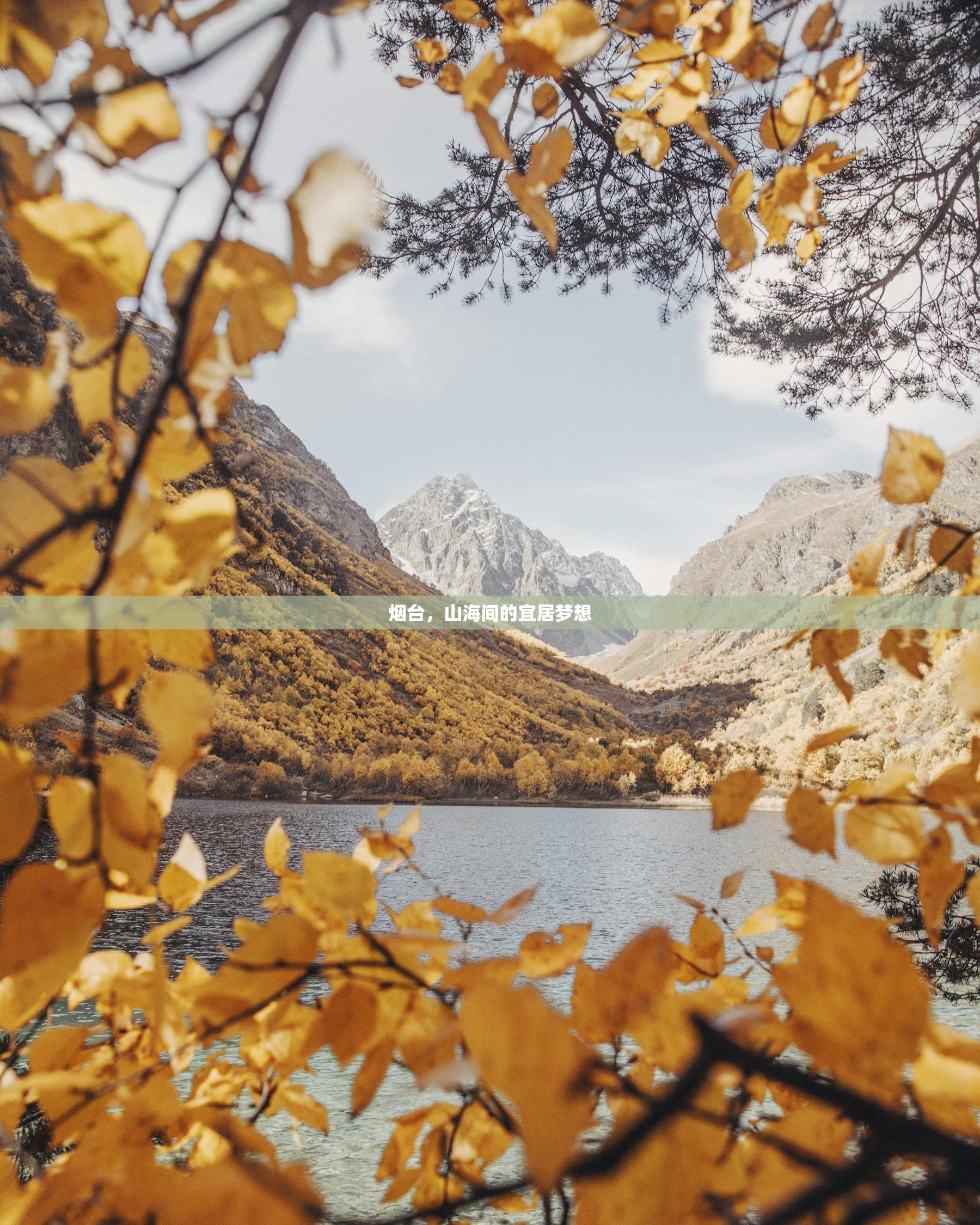 烟台，山海间的宜居梦想