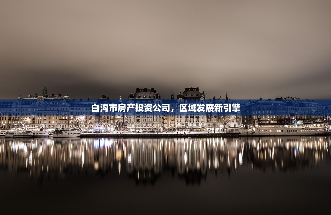 白沟市房产投资公司，区域发展新引擎